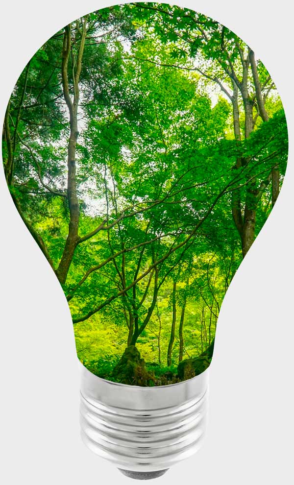 Foco de led con un bosque en su interior